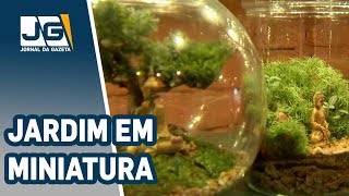 Miniatura do vídeo