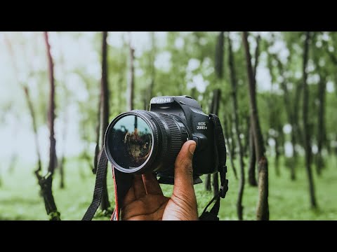 Calming POV Photography in NATURE with Canon 200D mii