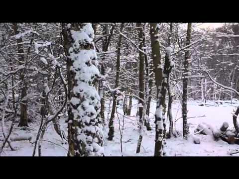 Raul Carstea si Constantin Neculae-Acolo unde cred ca esti