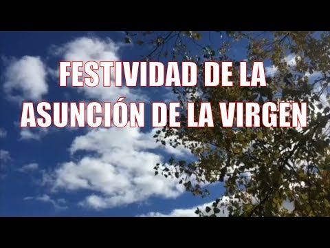 ✅ EVANGELIO del día 15 de agosto FESTIVIDAD de la ASUNCIÓN de la Virgen María | P.GUILLERMO SERRA
