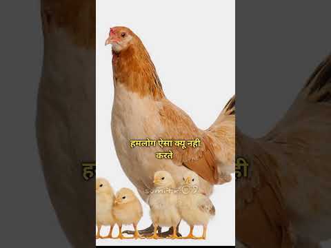 #video #yashveer #youtube #youtubeshorts 🤣🤣🤣🤣🤣🤣🤣🤣🤣