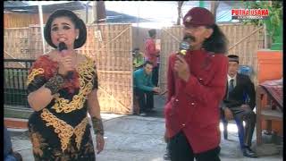 Download lagu LALI JANJINE Mboke ndembik vs kino // Karawitan Cinde Laras // Putra usaha multimedia mp3