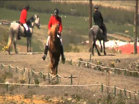 Svali Gæðingakeppni Léttis 2012  Skeið 2