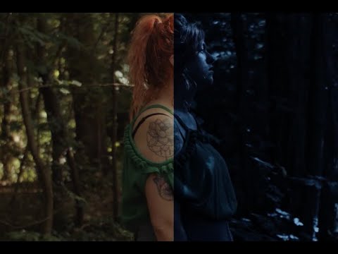 Shooting During Day for Night Scenes | Transition | Davinci Resolve Tutorial