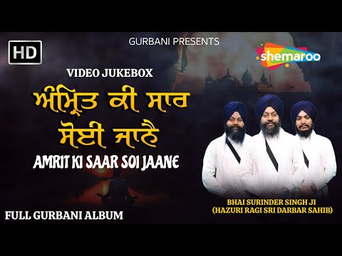 NonStop Shabad kirtan Gurbani 2025 - Amrit Ki Saar - FULL ALBUM - Bhai Surinder Singh Ji - #gurbani