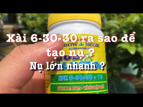 Should I use NPK 6-30-30 fertilizer to create buds? Why do buds grow quickly? // August 26th luna...
