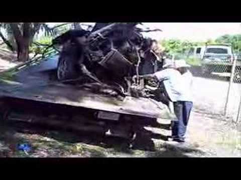 Merced Sun-Star: Man in critical condition after wreck