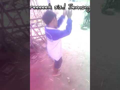 Hamdan bergoyang tarik siiisss semongko