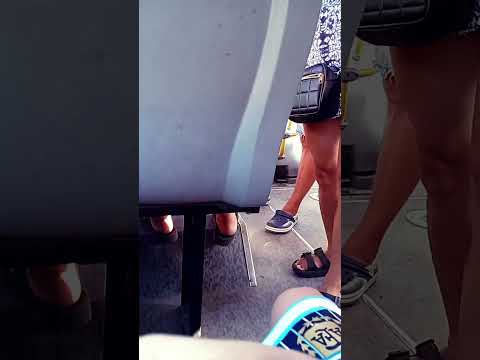 nuovo bus mercedes Benz interno 1036 metropol línea 365