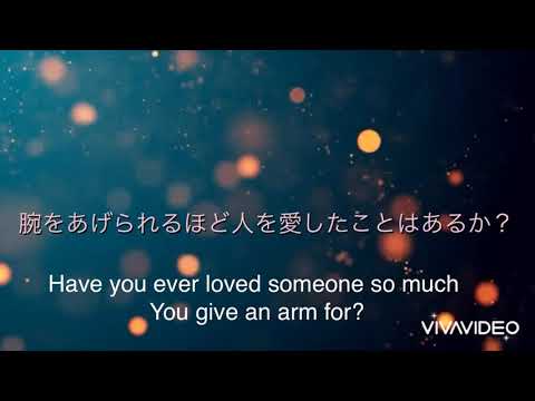 あなたの動画に英語⇄日本語の字幕テロップをつけます イメージ1