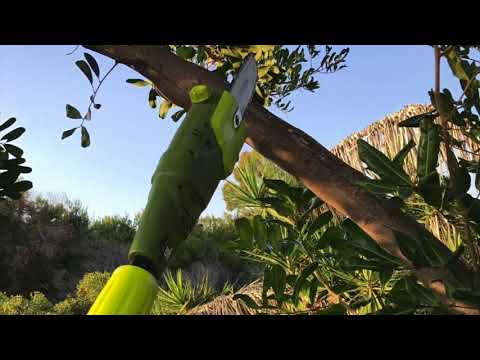 Sun Joe swj800e 8- inch 6.5 amp Telescoping Electric Pole Chain Saw Review