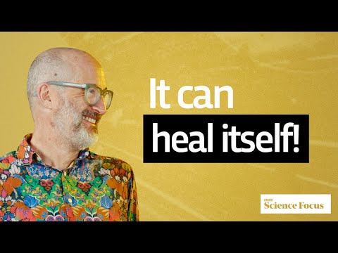 The WEIRDEST future materials in the world | Prof Mark Miodownik | Instant Genius podcast