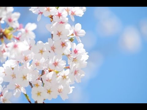 入学する新入生の皆さんへ　2020年4月1日