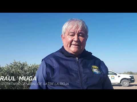 Día de la jojoba en Arauco