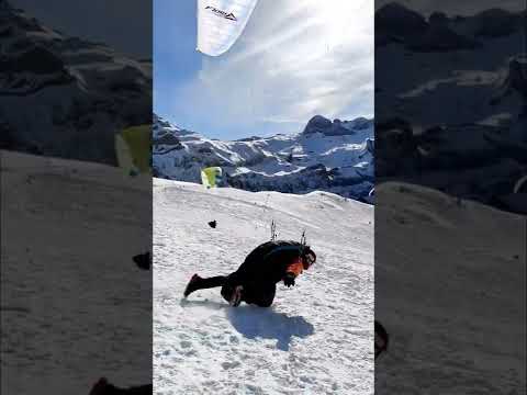 #penguinchallenge David Ferrer