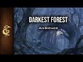 Darkest Forest | Adventure Ambience | 1 Hour #dnd