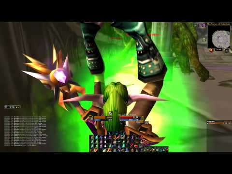 Balance Druid - Dire Maul East Solo - 2 Boss RTV Rush (Up to 80g/hr)