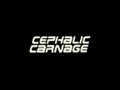 CEPHALIC CARNAGE - "THE SLEEP RACE" - LIVE AT FURY FEST 2005 - MULTICAM SD - DEATH METAL