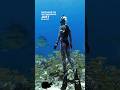 70ft On One Breath OCEANRAMSEYSHARKS Diving Onebreath Sharks Maldives Wifey A