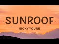 Nicky Youre - Sunroof (Lyrics) ft. dazy
