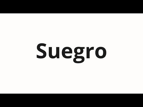 How to pronounce Suegro