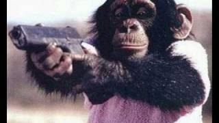 Papoose - Love Is A Battlefield