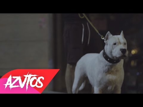 AZO - Αγέλη | Νυχτολούλουδα (Music Video)