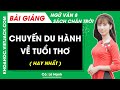 Chuyến du hành về tuổi thơ Ngữ văn lớp 8 Chân trời sáng tạo
