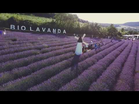 Festivalul BioLavanda editia - IV