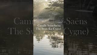 Download lagu サン＝サーンス｜白鳥 mp3