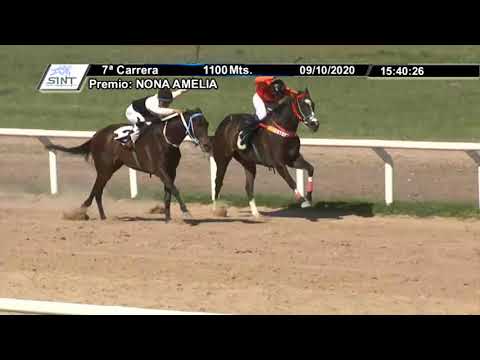 201009 c07 - LA RAVISSANTE 1° - SINT PAYSANDU