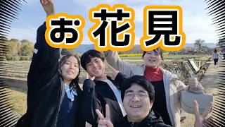 2026年　お花見に４回行った内の前半２回