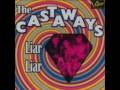 THE CASTAWAYS -LIAR LIAR 