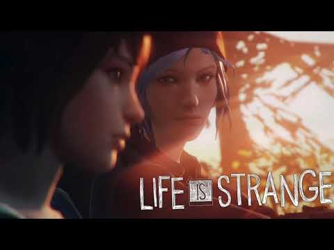 Jonathan Morali - Golden hour