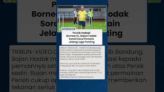 Jelang Persib vs Borneo FC, Bojan Hodak Bongkar Kesalahan Pemain Maung Bandung