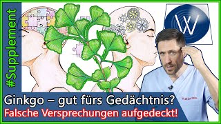 Ginkgo für mehr Gesundheit & Gedächtnis Das sollten Sie wissen als Schutz vor Alzheimer & Demenz