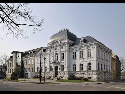 Náhled pro video reference
