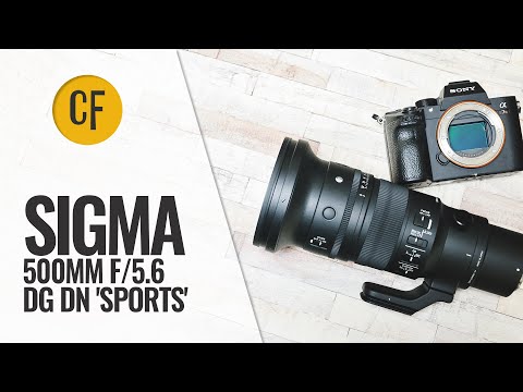 Testbericht zum Sigma 500 mm f/5.6 DG DN „Sport“-Objektiv
