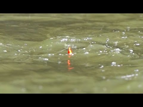 2023 Spring Steelhead BOBBER DOWNS! - Set Up & Rig