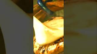 Guys... I'm Hungry. lol #monsterhunter #monsterhunterwildsgame #capcom #mhwilds