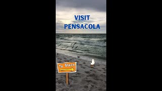 Why You Should Visit Pensacola Florida #shorts