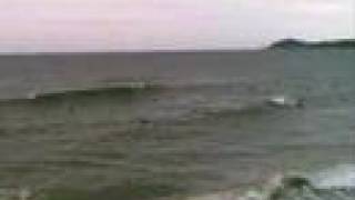 preview picture of video 'Praia da Ferrugem (Férias 2004)'