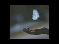 Grave Flowers - Lackrosy