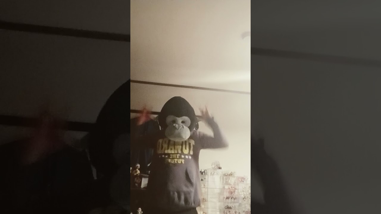 ｢全力｣ゴリラが全力でカリスマックス踊ってみた#ゴリラ #踊ってみた #カリスマックス #スノーマン