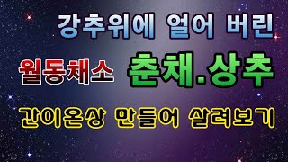 [텃밭농부. 1,310]  최초의 12월 강추위에 얼어 죽은 월동채소 살리기! #춘채재배 #월동상추 #봄동재…