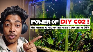 Crazy Walstead Method Planted tank ! (Huge Plant growth) Planted Tank Reaction Ep - 6