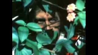 Bruce Low singt die Titelmusik zu: Die verlorenen Inseln