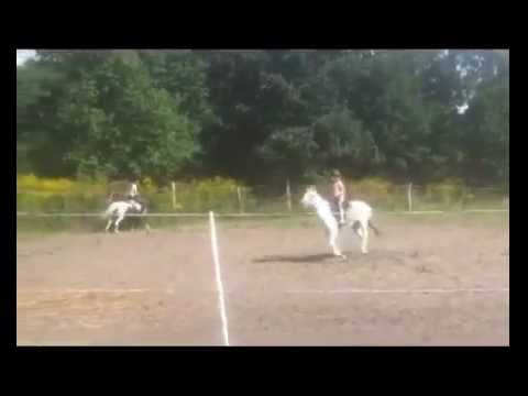 Tag der offenen Stalltür im Pferdeparadies Freienhagen 2012