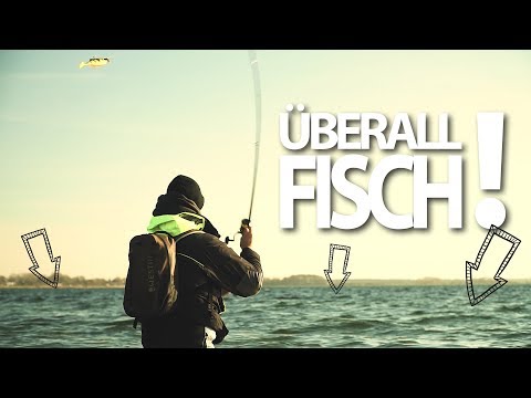 Der HECHT der 1000 Würfe!