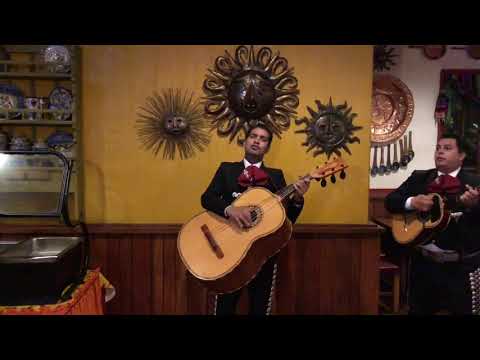 Baby shark mariachi style